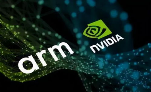 被市場嚴重低估的七大國產軟件，長牛之王崛起，誰是十倍龍頭？